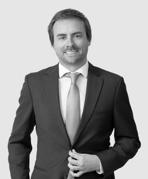 Fontecilla Benjamín, tax leal