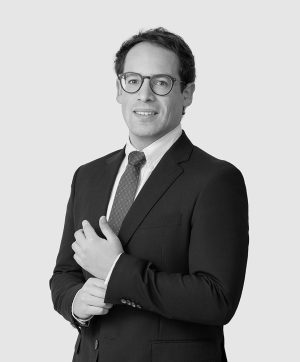Gómez Andrés, tax leal